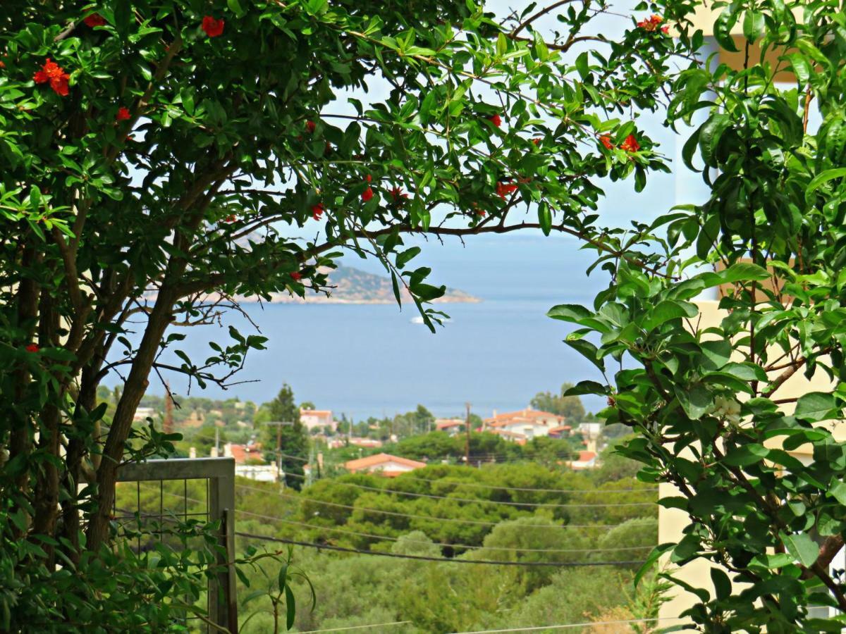 Thimari Sports & Spa With Private Pool And Jacuzzi Sounion Exteriér fotografie